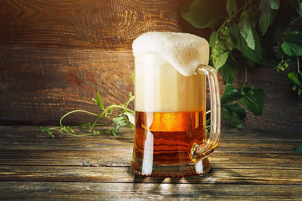 Ein Glas frisches Biers und grünes Hopfen auf einem Holztisch.